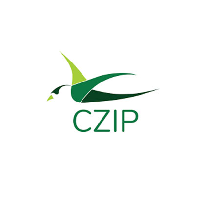 CZIP